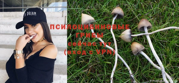 ГАЛЛЮЦИНОГЕННЫЕ ГРИБЫ Абинск